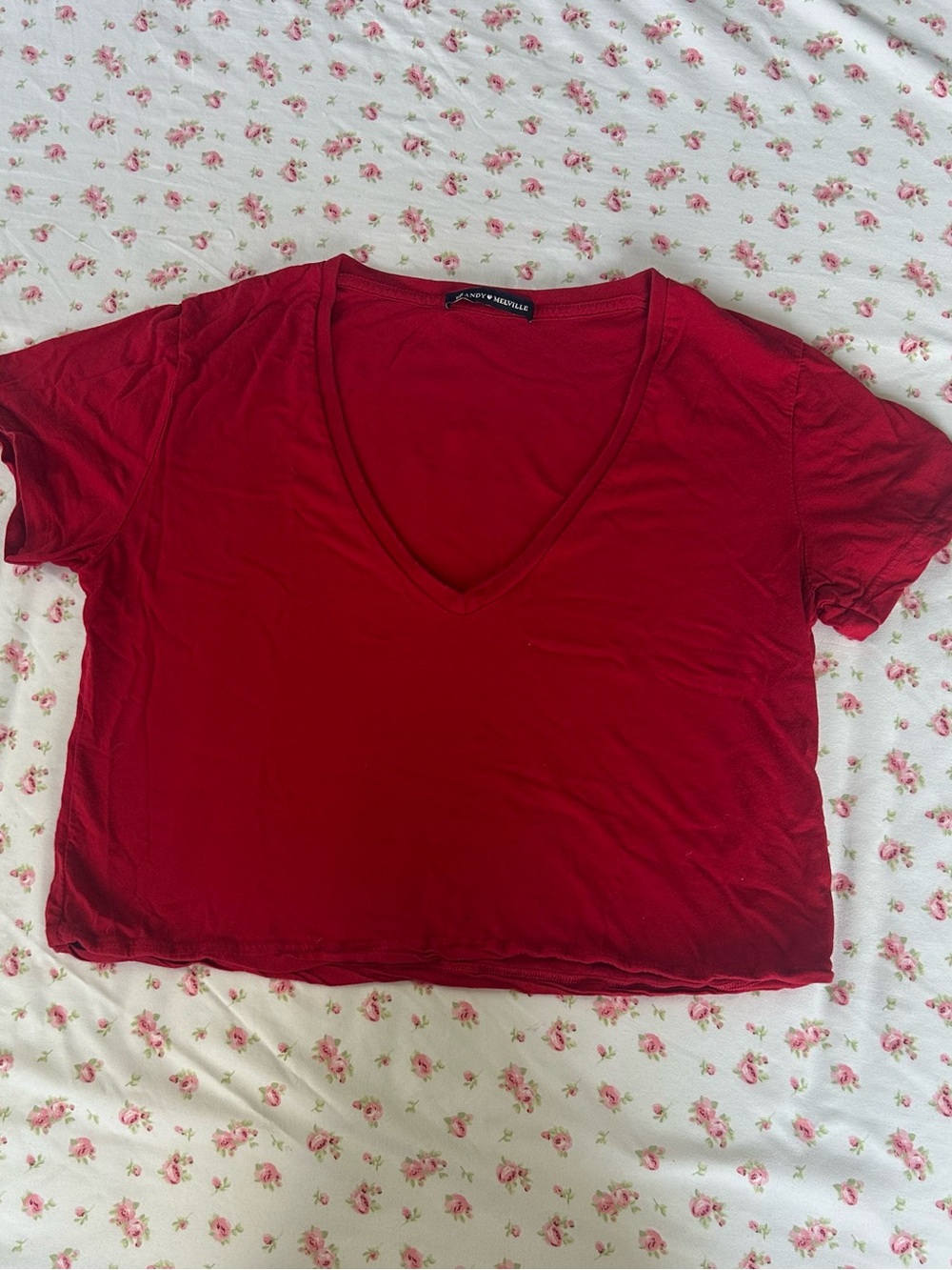 BRANDY MELVILLE Women's Red V‑Neck Crop Top